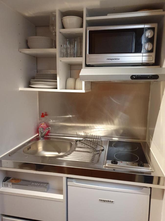 גוסלר Apartment Am Bocksberg מראה חיצוני תמונה
