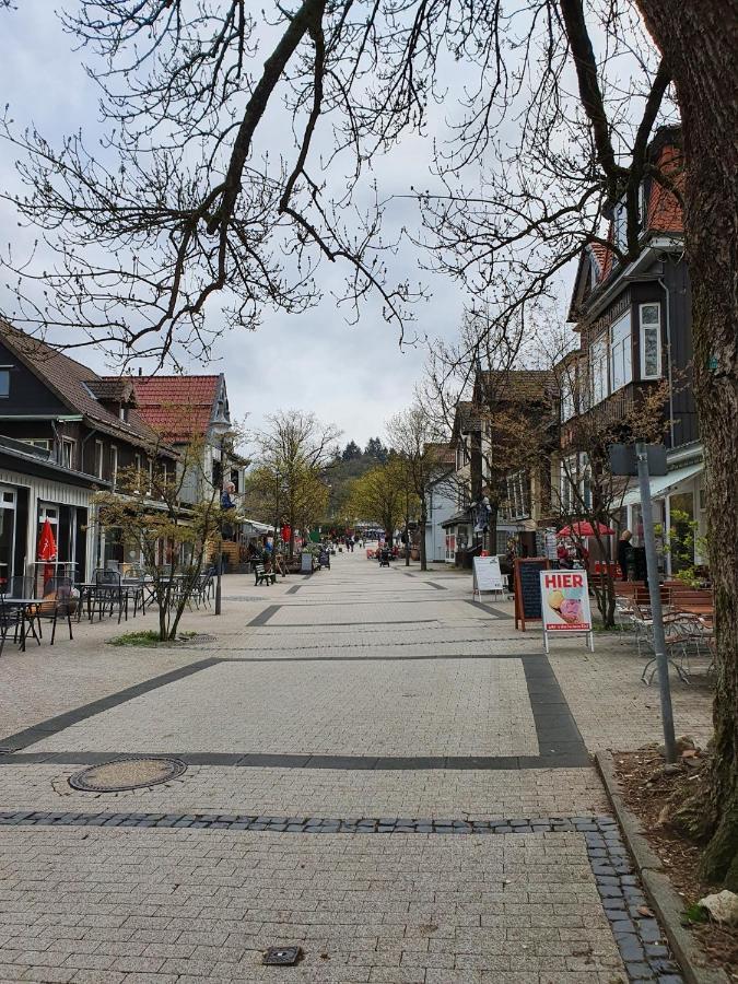 גוסלר Apartment Am Bocksberg מראה חיצוני תמונה