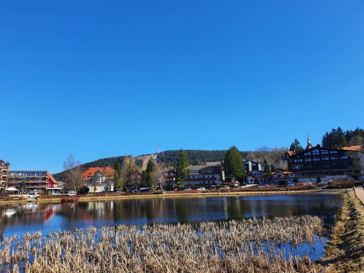 גוסלר Apartment Am Bocksberg מראה חיצוני תמונה